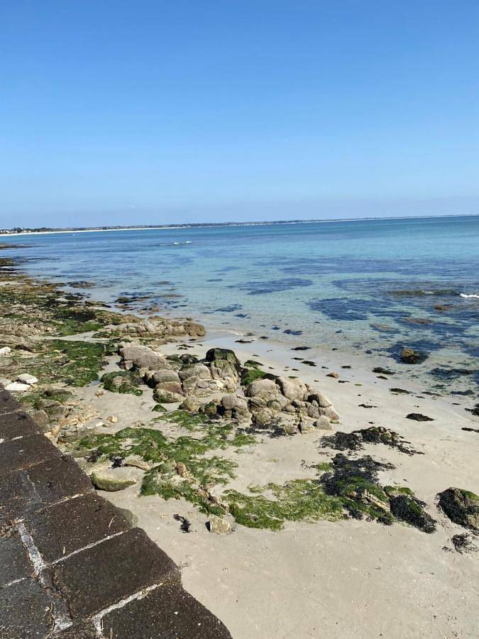 Camping para 4 personas, con terraza - 1