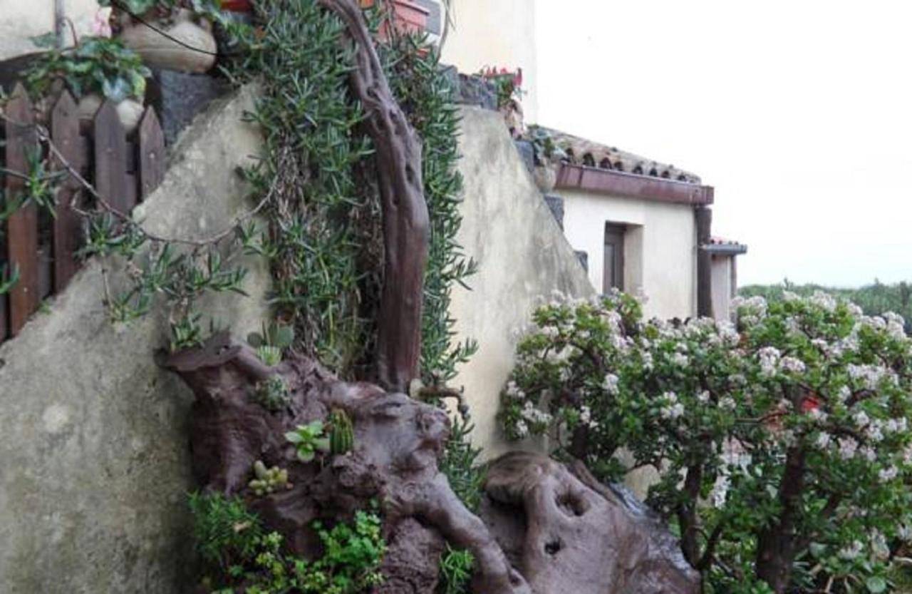 Agriturismo Ruvitello in Misterbianco, Catania e dintorni