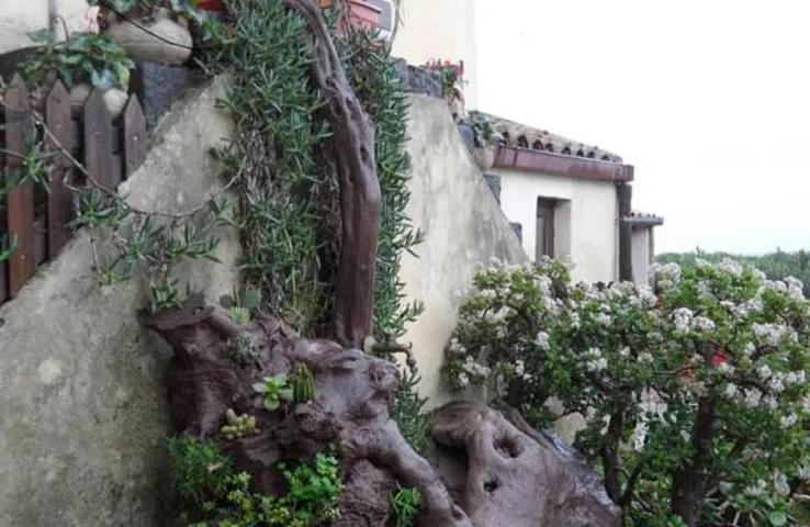 Alloggio in famiglia per 2 persone, con giardino e piscina - 1