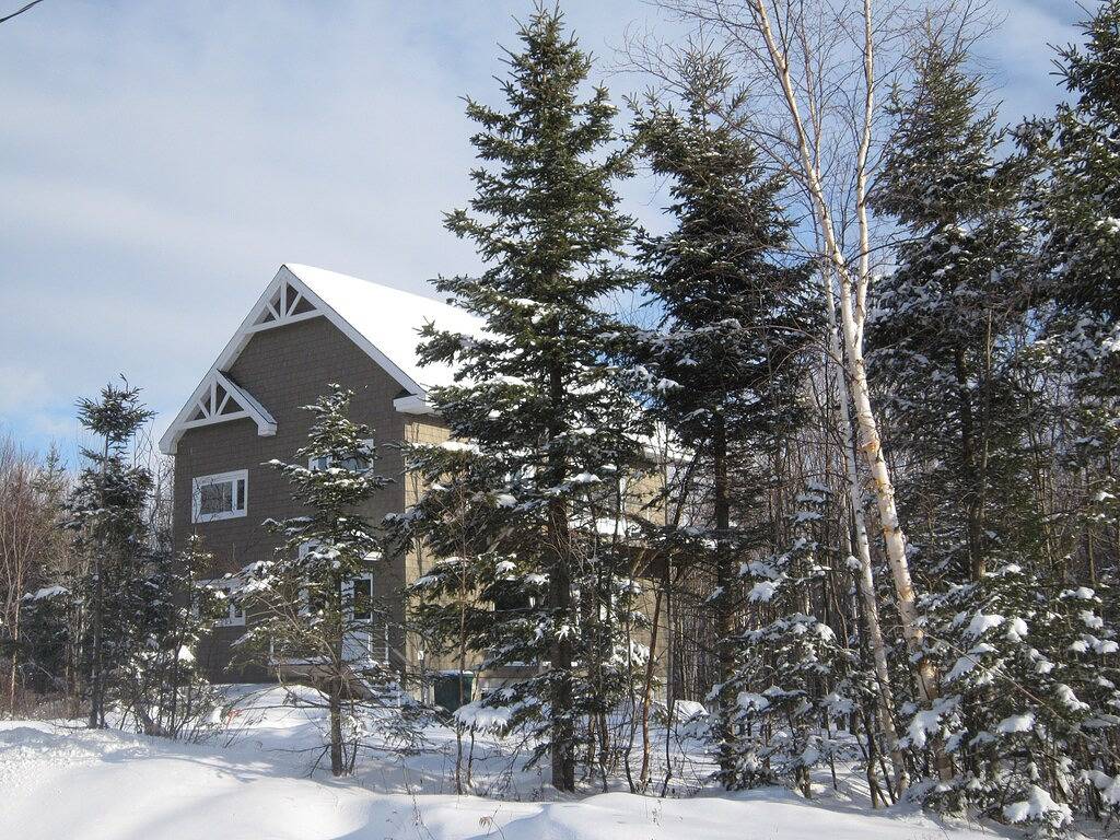 Neo Rustic (Natur, Skifahren, Walbeobachtung, moderner Komfort, Ruhe) in Le Massif