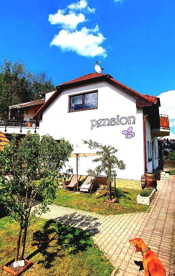Pension voor 4 personen, met uitzicht en tuin, met huisdier in Tsjechië