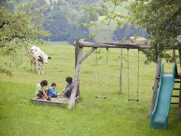 Ferienwohnung für 3 Personen in Haus, Schladming-Dachstein, Bild 4