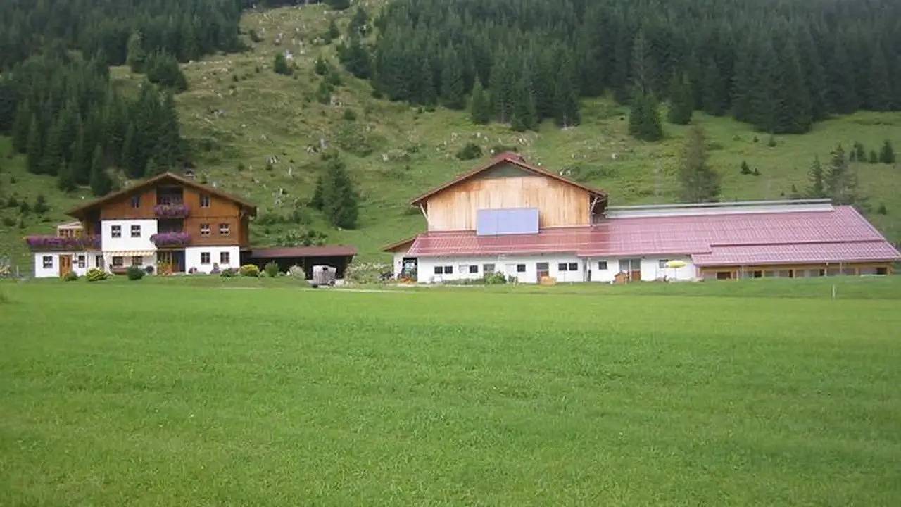 Ganze Ferienwohnung, Ferienwohnung für 4 Personen (41 m²) in Haldensee in Grän, Allgäuer Alpen (Österreich)