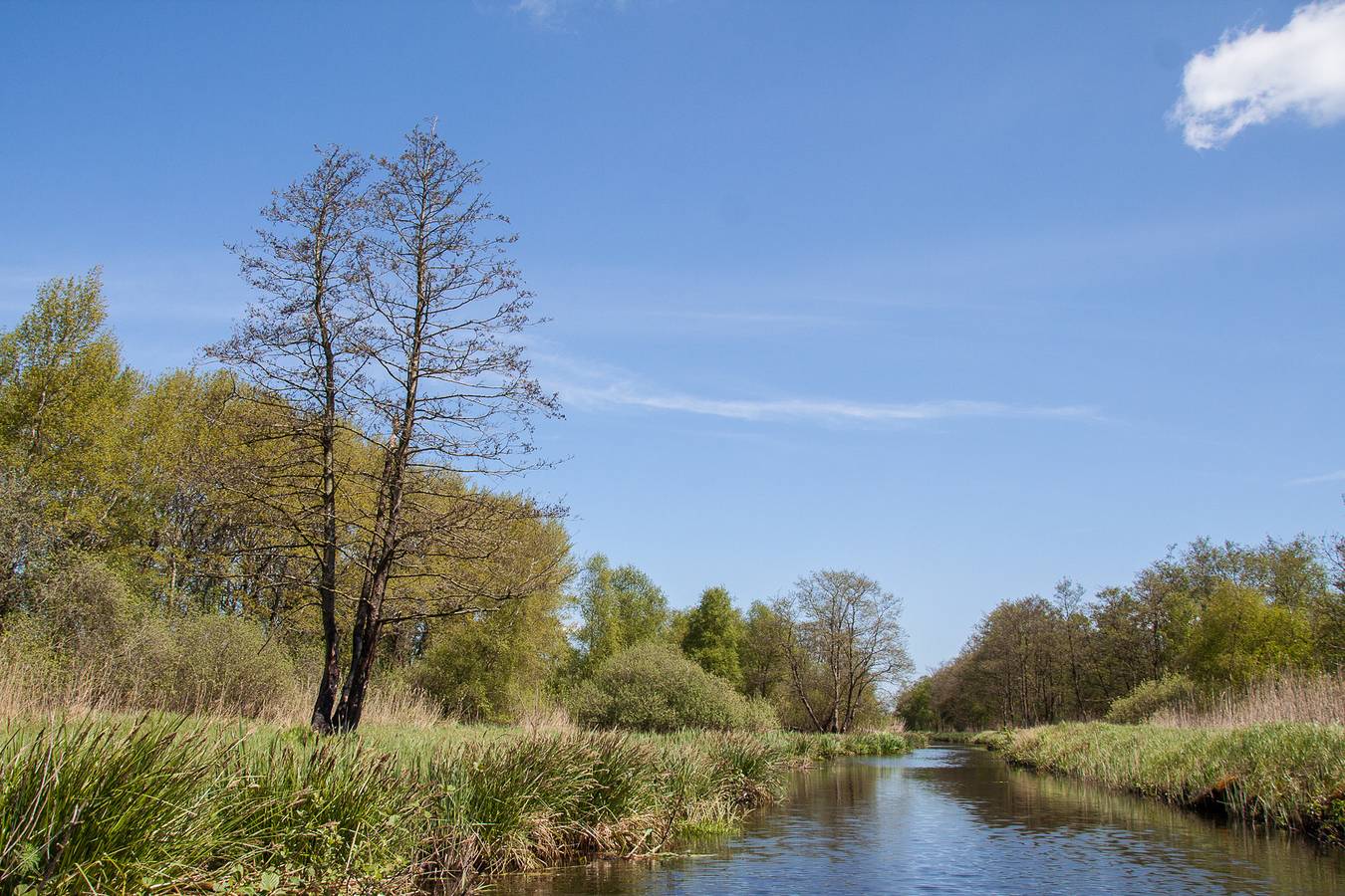 Boetiekpark de Kas — Tiny House für 2 Personen in unserem Boutique-Park in Scherpenzeel (Friesland) in Nationalpark Weerribben-Wieden