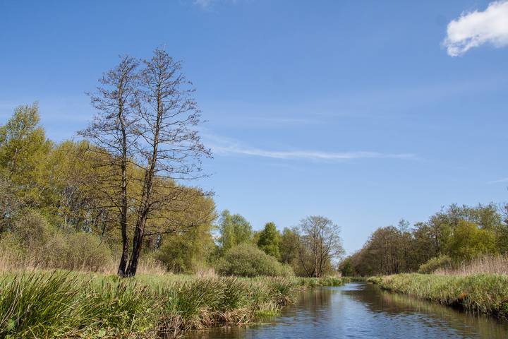 Boetiekpark de Kas — Tiny House für 2 Personen in unserem Boutique-Park in Scherpenzeel (Friesland) in Nationalpark Weerribben-Wieden