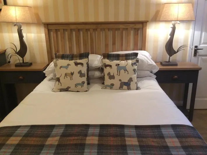 Hotel para 2 personas, Se admiten mascotas - 1