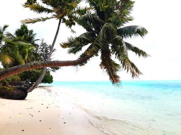 Chambre d’hôte pour 2 personnes, avec vue ainsi que jardin et terrasse dans Huahine