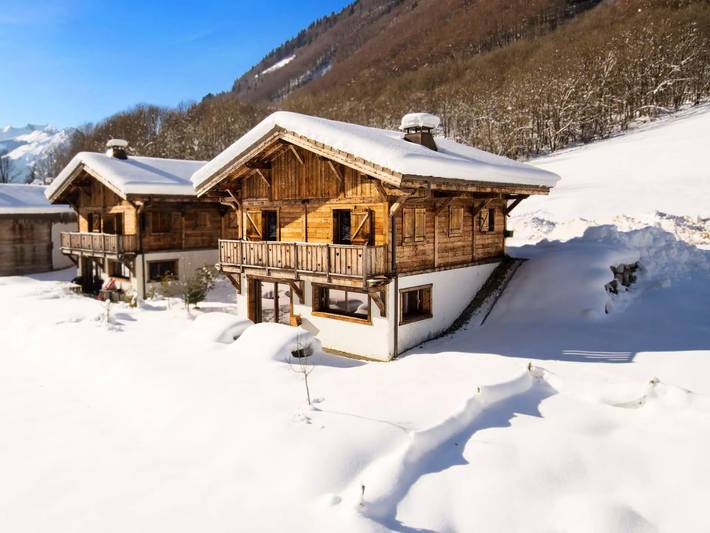 Gîte pour 8 personnes, avec terrasse et jardin, animaux acceptés à Montriond - 3