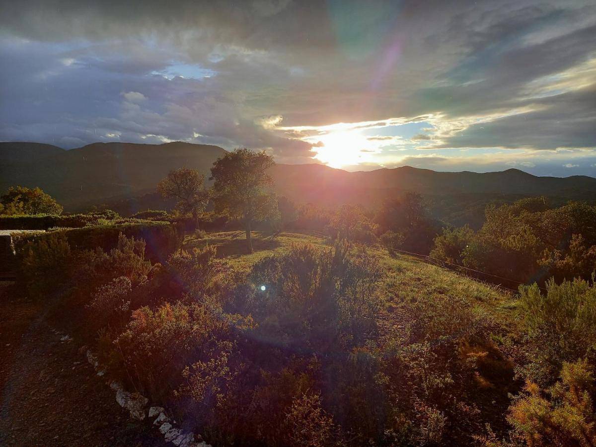 La Pantoufle Verte in Montauriol, Côte méditerranéenne (France)