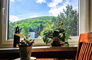 Ferienwohnung für 4 Personen in Bad Harzburg, Westharz, Bild 4