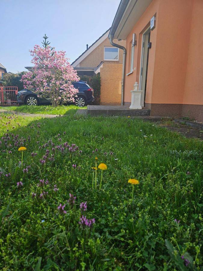 Ferienwohnung für 11 Personen, mit Terrasse und Garten in Französisch Buchholz Berlin - 4