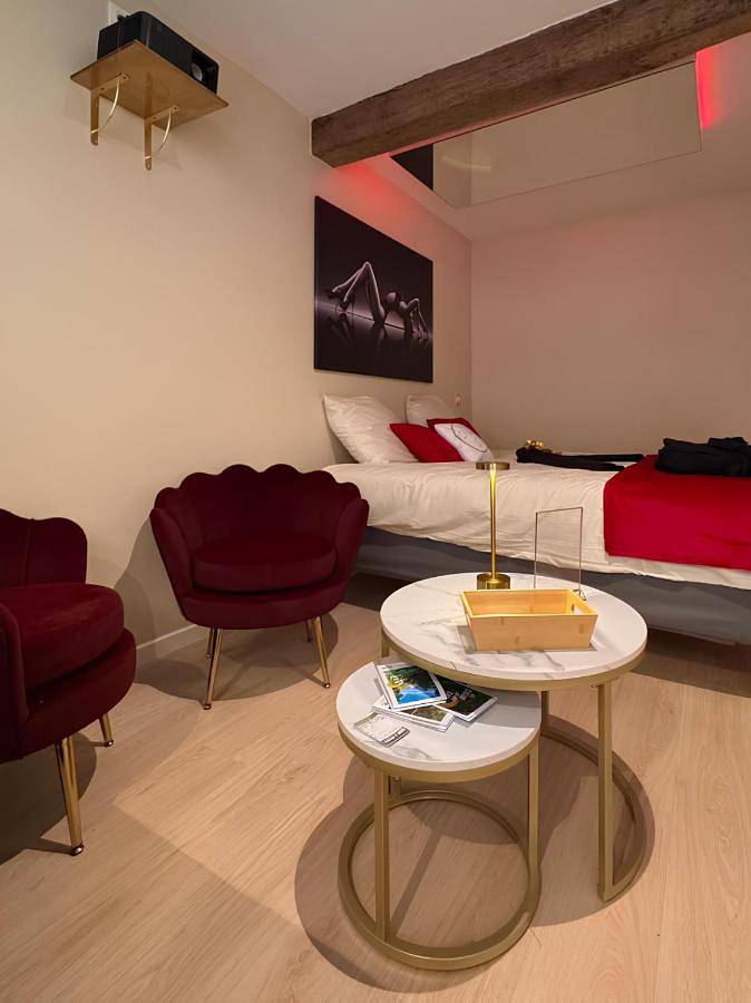 Gîte pour 2 personnes, avec jacuzzi et terrasse à Argenton-les-Vallées - 4