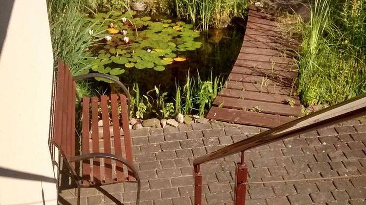 Einzelzimmer für 2 Personen (12 m²) in Magdeburg in Magdebourg, Elbe-Börde-Heide