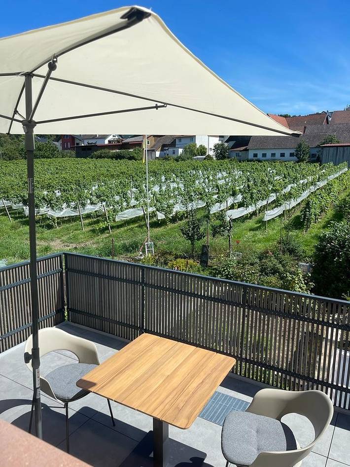 Ferienhaus für 4 Personen, mit Balkon und Sauna, kinderfreundlich in Oberkirch - 4