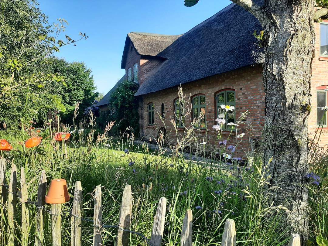 Ferienwohnung für 5 Personen in Braderup, Grünes Binnenland