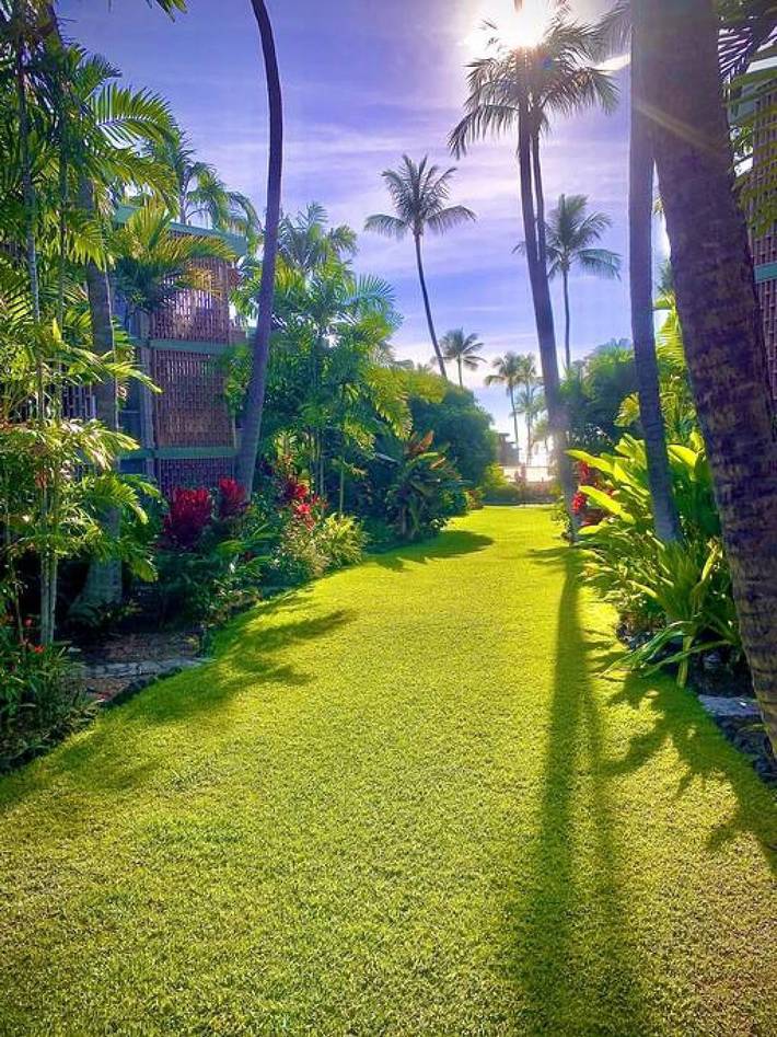 Gîte pour 4 personnes, avec terrasse et jardin dans Hawai - 2