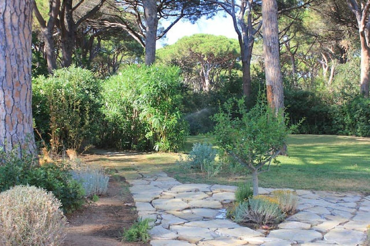 Villa Nannia Beautiful Roccamare Private Beach in Roccamare, Castiglione della Pescaia