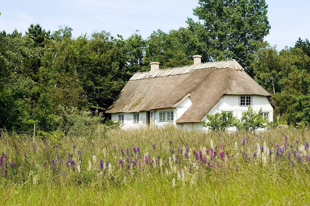 Bauernhausidylle in Møns Klint in Borre (Vordingborg), Schwedische Ostsee