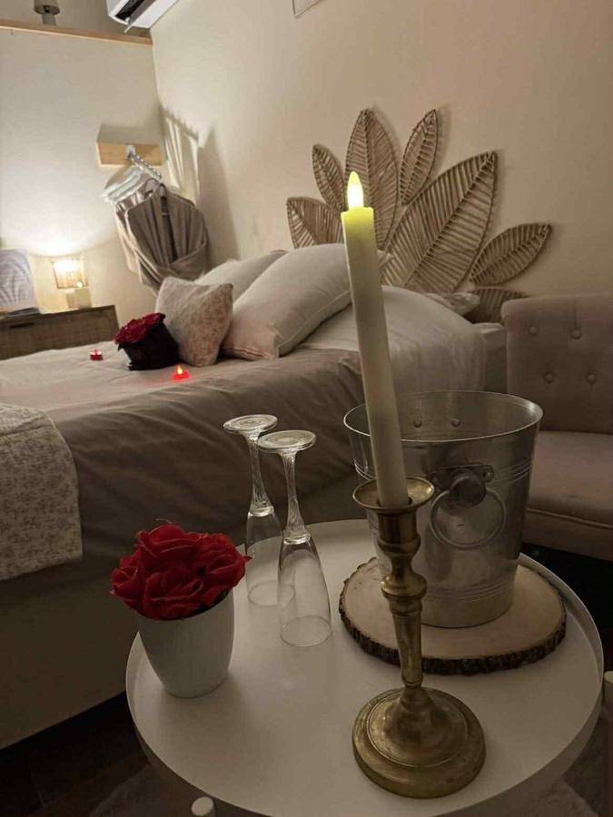 Appartement entier, One-Bedroom Apartment in Beaune, Région de Beaune