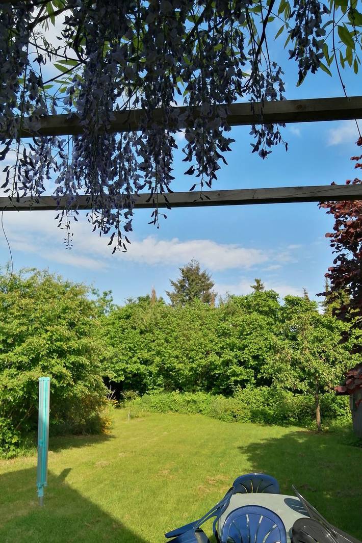 Ferienhaus für 8 Personen, mit Garten, mit Haustier in Lüneburg und Umgebung - 4