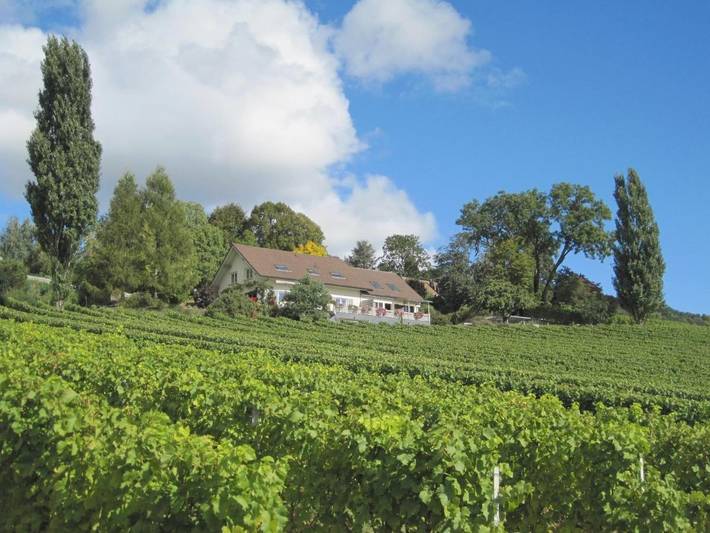 Maison d’hôte pour 2 personnes, avec Balcon et Terrasse ainsi que Jardin et Vue sur le lac