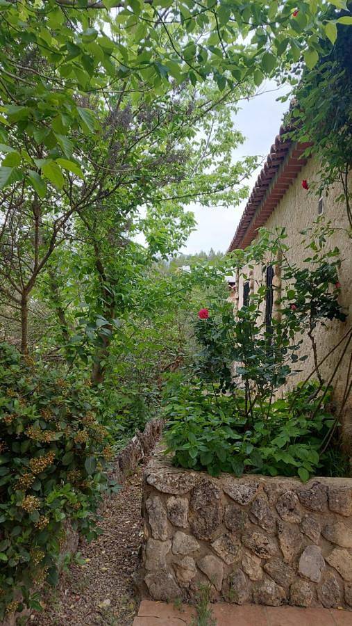 Albergue para 6 personas, con jardín y piscina para niños además de vistas y piscina en Los Calares del Mundo y de la Sima - 3