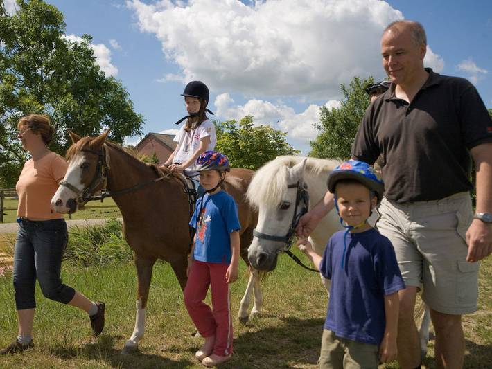 Apartmenthotel für 4 Personen, mit Sauna und Garten, kinderfreundlich in Wangerland - 4