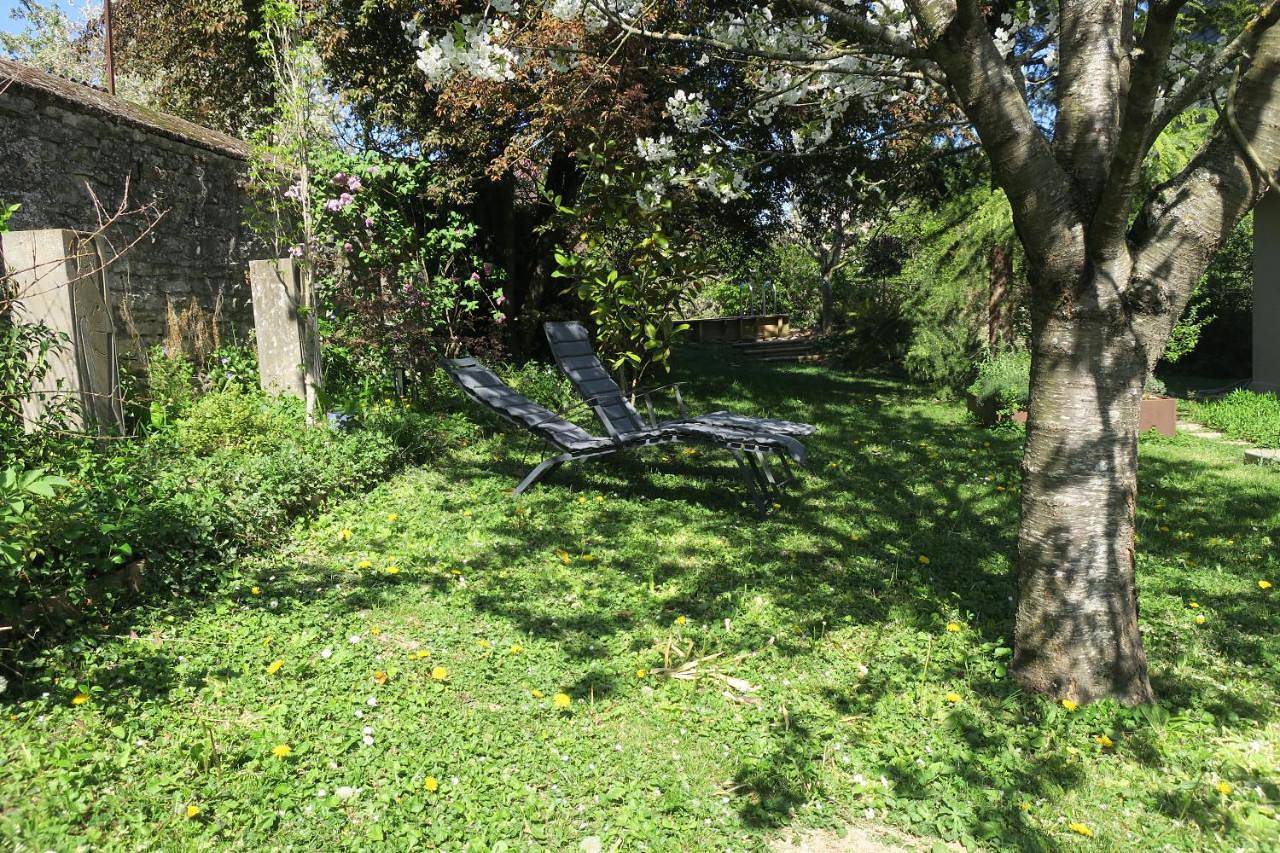 Versant de vigne in Chalon-sur-Saône, Région de Chalon-sur-Saône