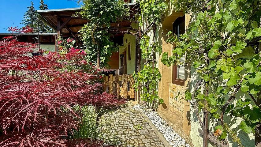 Ferienhaus für 6 Personen, mit Terrasse in Dresden umland - 3