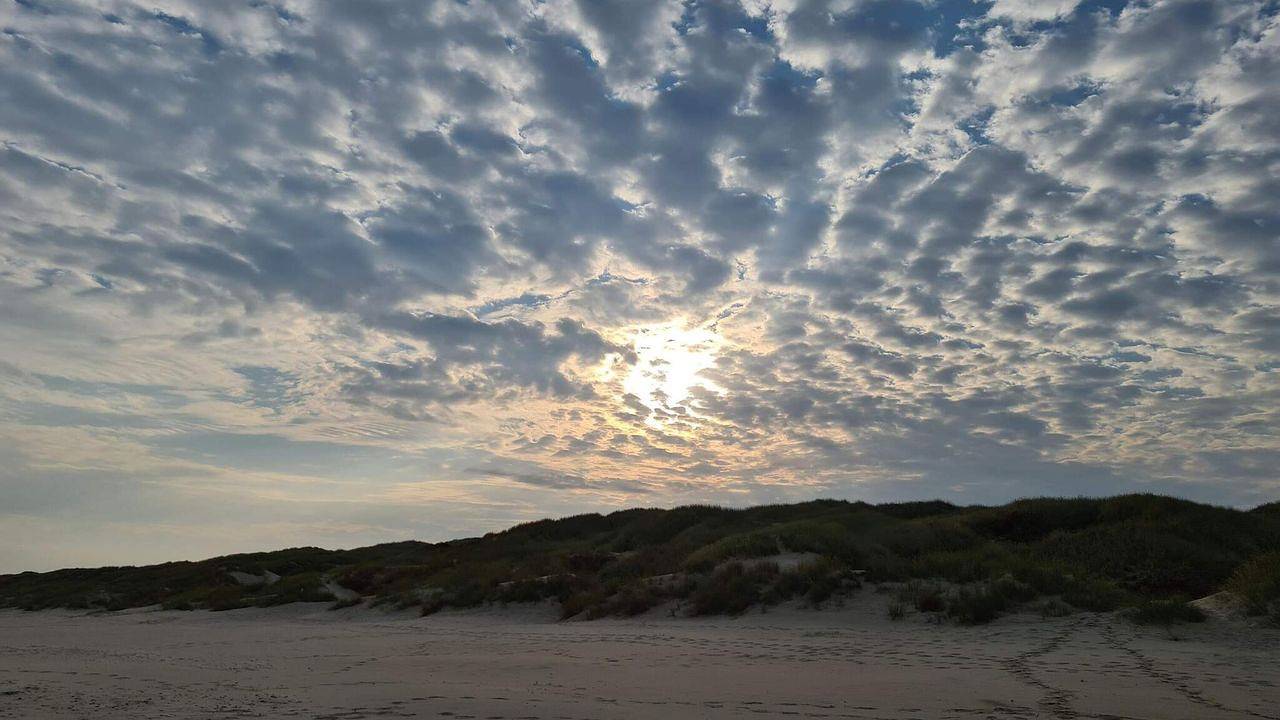 Ferienhaus für 6 Personen (95 m²) in Blokhus in Hune, Jammerbugt