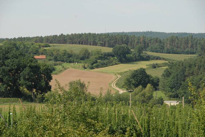 Ferienhaus für 3 Personen, mit Garten in Fränkisches Seenland - 3