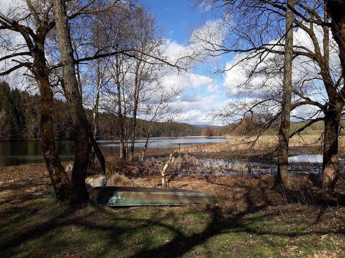 Ferienwohnung Abendrot - Ferienwohnung (65qm) mit Balkon in Bodenmais, Ostbayern