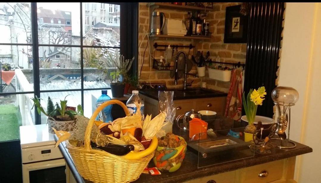 Appartement entier, La Roubaisienne de Julia in Roubaix, Région de Lille
