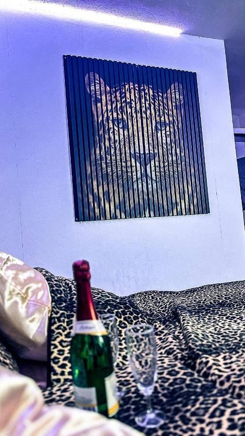 Ganze Ferienwohnung, Naturraum - Wellnessoase am Mittelrheintal in Pfalzfeld, Hunsrück