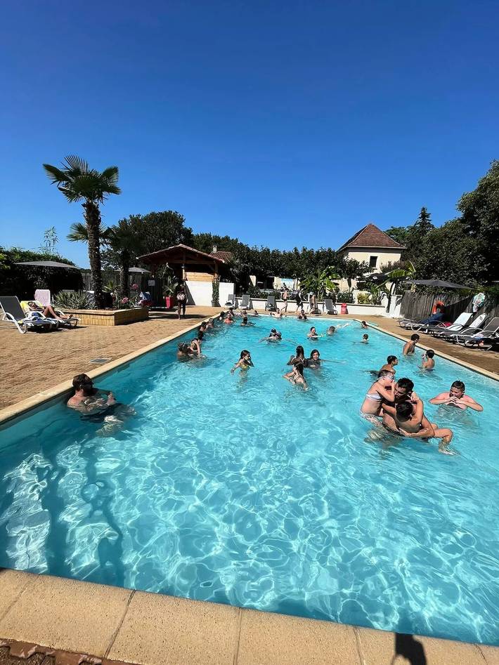 Chalet pour 9 personnes, avec piscine et terrasse, animaux acceptés en Dordogne - 2