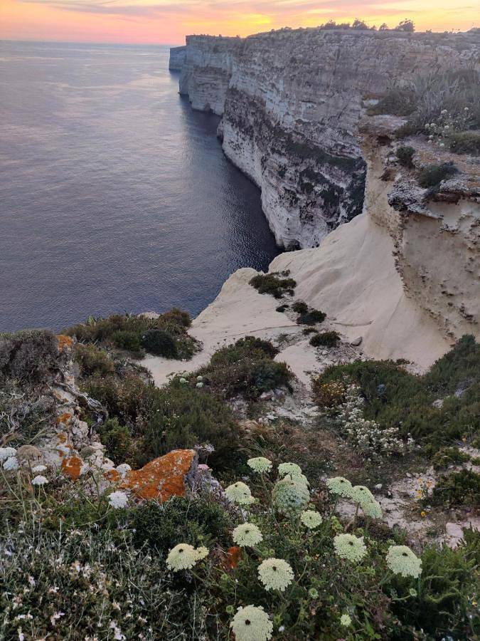 The Garden Gate in Ta' Ċenċ, Sannat