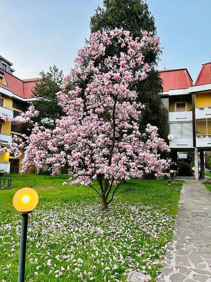 Maison d’hôte pour 2 personnes, avec jardin et vue à Crémone - 3