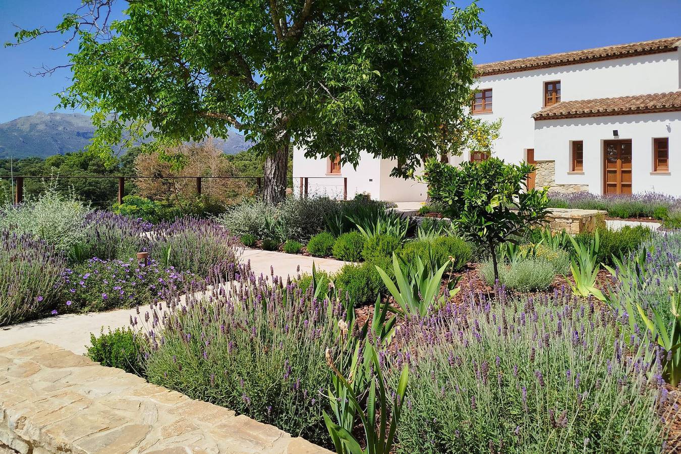 Finca Vegachi in Algatocín, Los Alcornocales