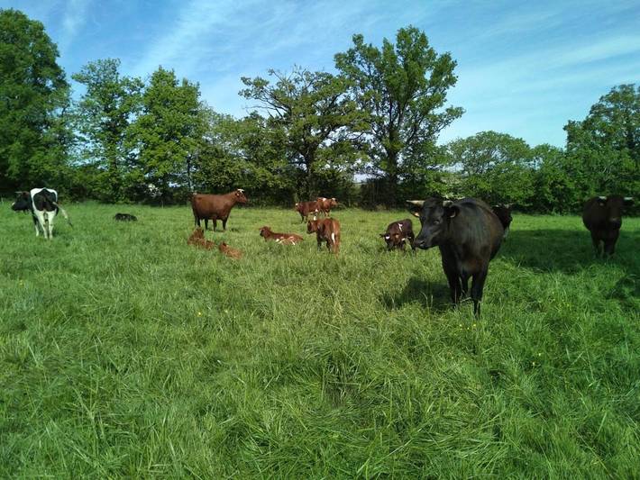 Location de vacances pour 4 personnes, avec vue dans Tresbœuf - 2