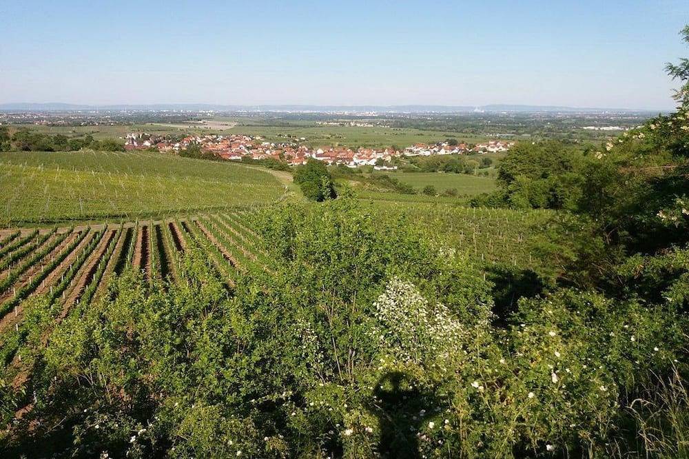 Ganze Wohnung, Ferienwohnung Lingenfelder in Bad Dürkheim, Pfälzer Rheinebene