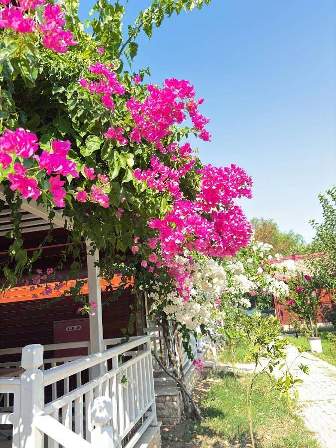 Villa für 3 Personen, mit Garten und Ausblick - 1