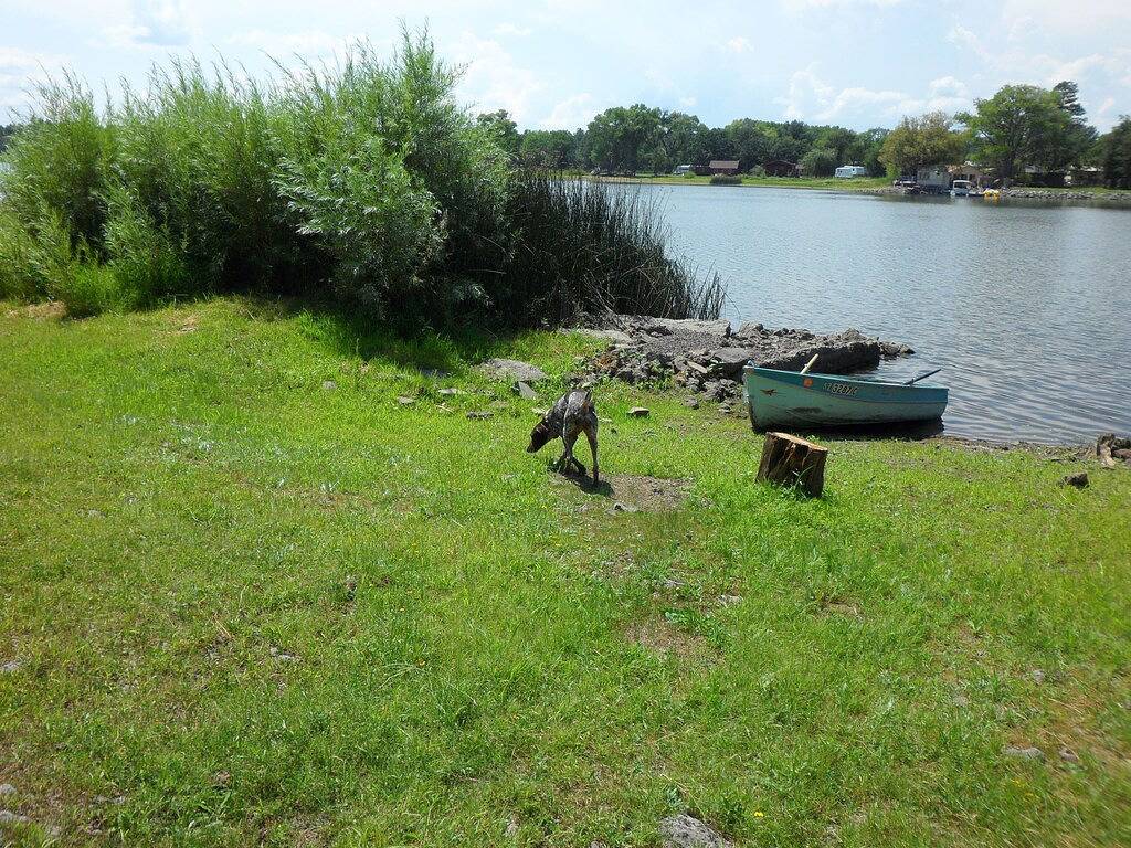 Neu! 4 Morgen Lakefront Cabin in den Tall Pines in Navajo County