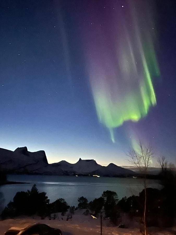 Efjord and Stetind Resort - Cabin Ocean in Ballangen 