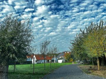 Gîte pour 6 personnes, avec jardin et vue, animaux acceptés à Zuienkerke