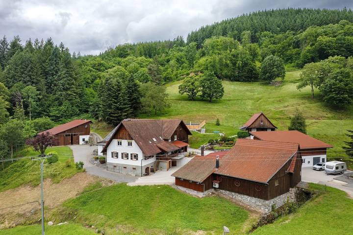 Ferienwohnung für 5 Personen, mit Garten in Ohlsbach
