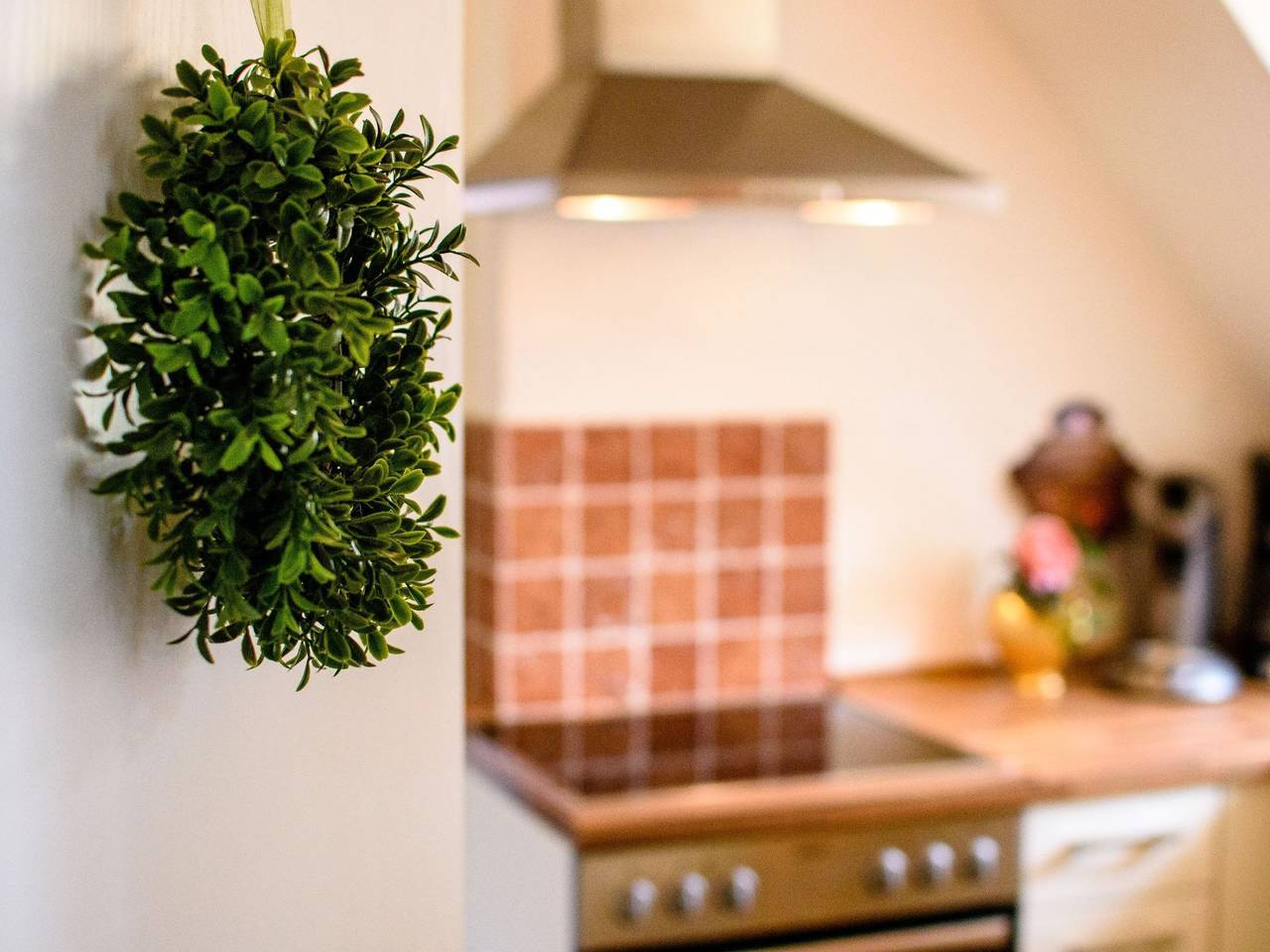 Ganze Wohnung, Gemütliche Wohnung in Bracht mit Garten in Rauschenberg, Landkreis Marburg-Biedenkopf