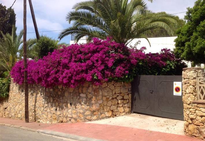 Ferienhaus für 4 Personen, mit Garten an der Costa Dorada - 4