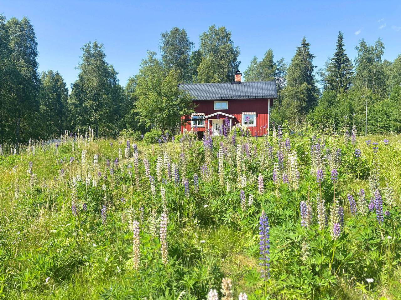 Ferienhaus zwischen Seen & Skigebiet in Dalarna – Hus Fee in Ludvika, Dalarna