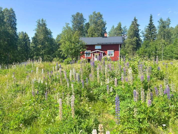 Ferienhaus zwischen Seen & Skigebiet in Dalarna – Hus Fee in Ludvika, Dalarna