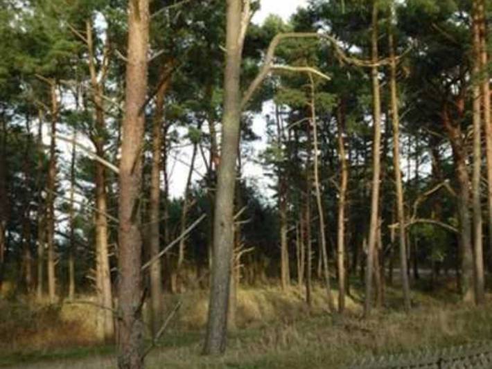 Ganze Ferienwohnung, Ferienhaus  Am Ostseestrand - Ferienwohnung 29/5n in Ostseebad Karlshagen, Karlshagen